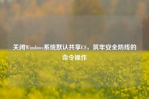 关闭Windows系统默认共享C$，筑牢安全防线的命令操作