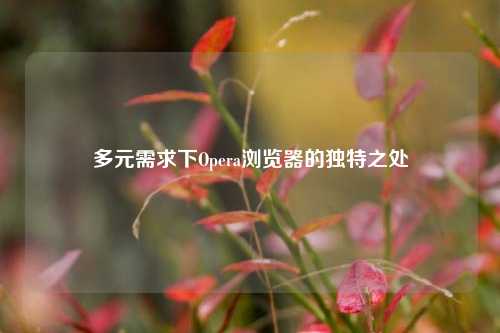 多元需求下Opera浏览器的独特之处