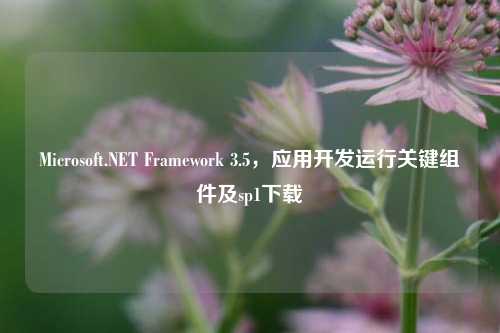 Microsoft.NET Framework 3.5，应用开发运行关键组件及sp1下载