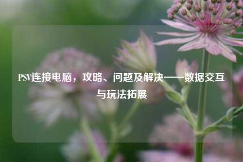 PSV连接电脑，攻略、问题及解决——数据交互与玩法拓展