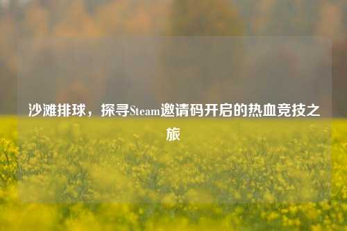 沙滩排球，探寻Steam邀请码开启的热血竞技之旅