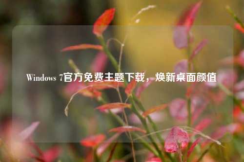 Windows 7官方免费主题下载,焕新桌面颜值