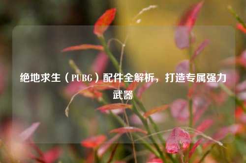 绝地求生(PUBG)配件全解析,打造专属强力武器