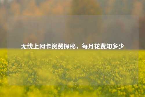 无线上网卡资费探秘，每月花费知多少