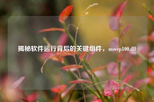揭秘软件运行背后的关键组件,msvcp100.dll
