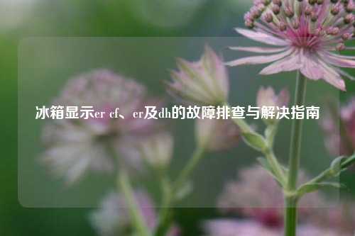 冰箱显示er cf、er及dh的故障排查与解决指南