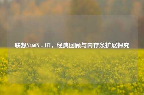 联想Y460N - IFI,经典回顾与内存条扩展探究