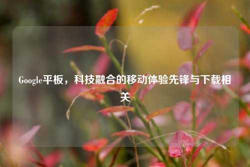 Google平板,科技融合的移动体验先锋与下载相关