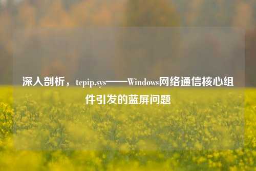 深入剖析，tcpip.sys——Windows网络通信核心组件引发的蓝屏问题