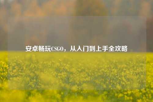 安卓畅玩CSGO，从入门到上手全攻略