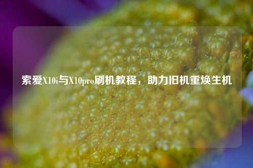 索爱X10i与X10pro刷机教程，助力旧机重焕生机