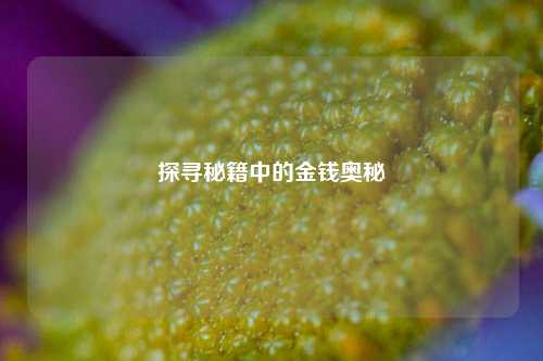 探寻秘籍中的金钱奥秘