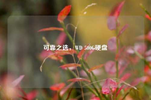 可靠之选，WD 500G硬盘