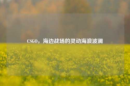 CSGO，海边战场的灵动海浪波澜