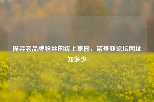 探寻老品牌粉丝的线上家园，诺基亚论坛网址知多少