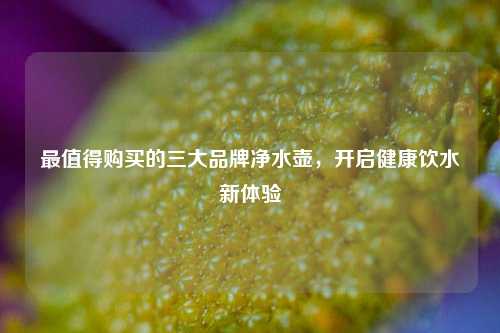 最值得购买的三大品牌净水壶，开启健康饮水新体验