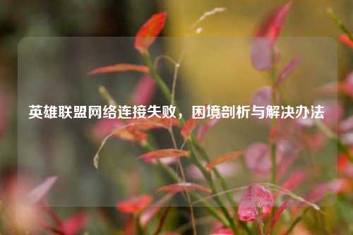 英雄联盟网络连接失败，困境剖析与解决办法