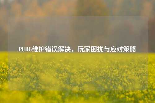 PUBG维护错误解决，玩家困扰与应对策略