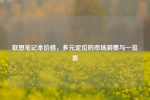 联想笔记本价格，多元定位的市场洞察与一览表