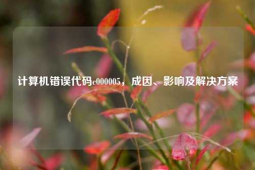 计算机错误代码c000005，成因、影响及解决方案
