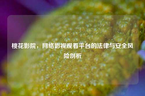 桃花影院，网络影视观看平台的法律与安全风险剖析