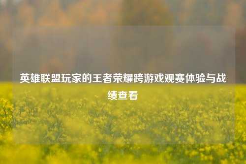 英雄联盟玩家的王者荣耀跨游戏观赛体验与战绩查看