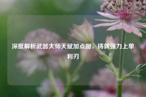 深度解析武器大师天赋加点图，铸就强力上单利刃