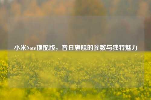 小米Note顶配版,昔日旗舰的参数与独特魅力