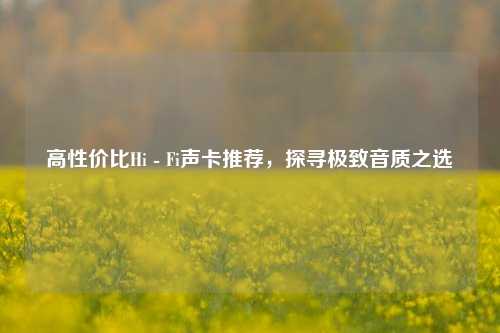 高性价比Hi - Fi声卡推荐，探寻极致音质之选