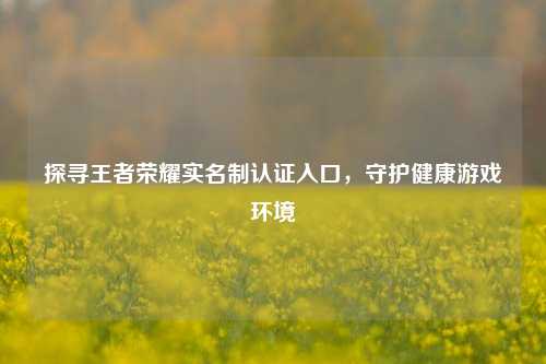 探寻王者荣耀实名制认证入口，守护健康游戏环境