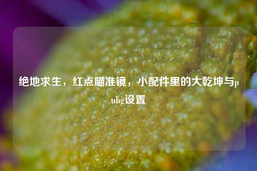 绝地求生,红点瞄准镜,小配件里的大乾坤与pubg设置
