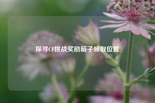 探寻CF挑战奖励箱子领取位置