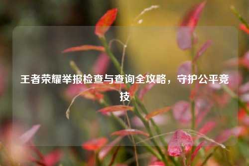 王者荣耀举报检查与查询全攻略,守护公平竞技