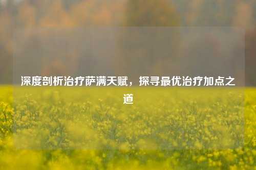 深度剖析治疗萨满天赋，探寻最优治疗加点之道