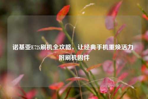 诺基亚E72i刷机全攻略，让经典手机重焕活力 附刷机固件