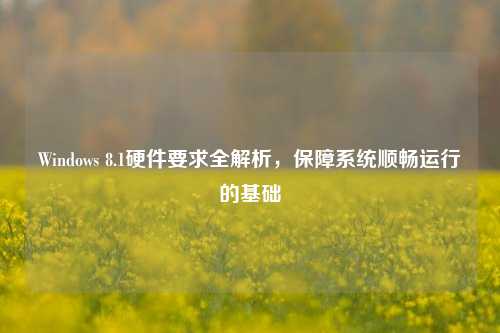Windows 8.1硬件要求全解析，保障系统顺畅运行的基础