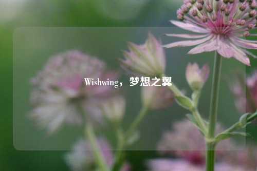 Wishwing，梦想之翼