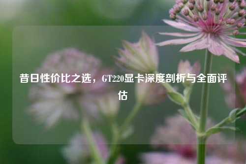 昔日性价比之选，GT220显卡深度剖析与全面评估