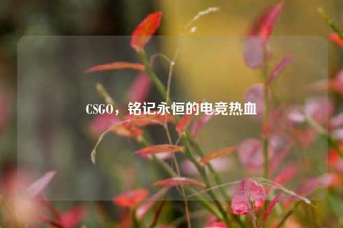 CSGO，铭记永恒的电竞热血