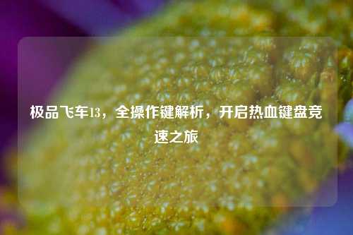 极品飞车13,全操作键解析,开启热血键盘竞速之旅