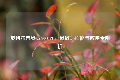 英特尔奔腾E5700 CPU，参数、性能与应用全剖析