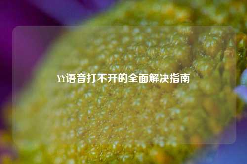 YY语音打不开的全面解决指南
