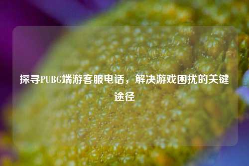 探寻PUBG端游客服电话，解决游戏困扰的关键途径
