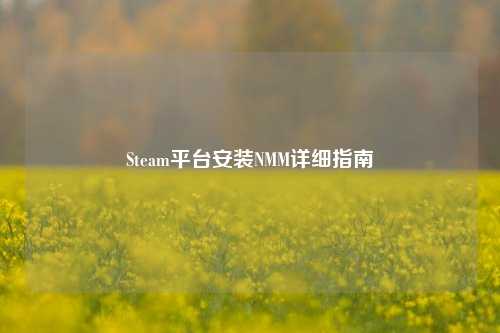 Steam平台安装NMM详细指南