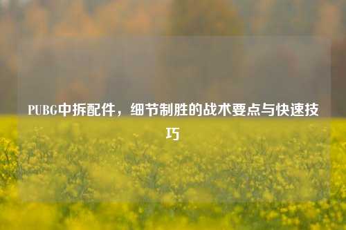 PUBG中拆配件,细节制胜的战术要点与快速技巧