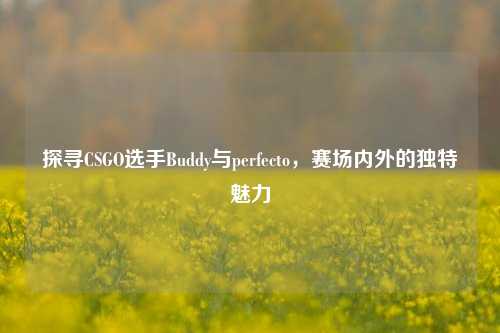 探寻CSGO选手Buddy与perfecto,赛场内外的独特魅力