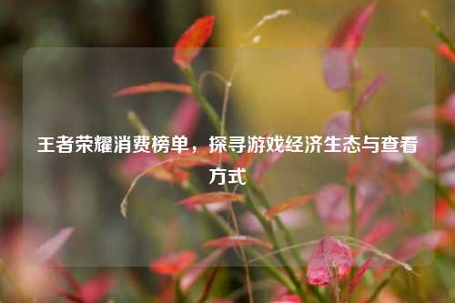 王者荣耀消费榜单,探寻游戏经济生态与查看方式