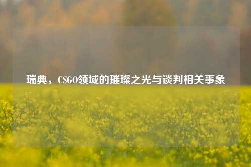 瑞典，CSGO领域的璀璨之光与谈判相关事象