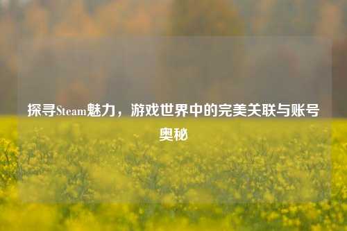 探寻Steam魅力，游戏世界中的完美关联与账号奥秘