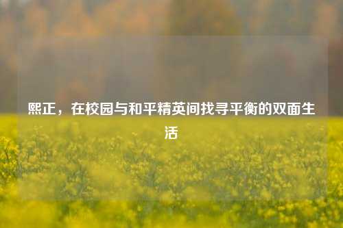 熙正,在校园与和平精英间找寻平衡的双面生活